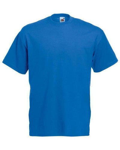 Fruit the loom shirt - shirt, t