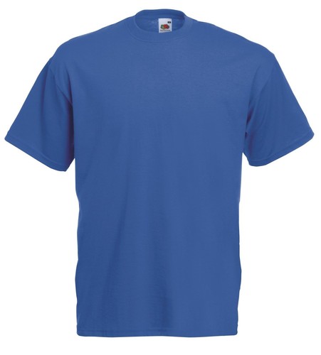 Fruit the loom plain blank - of,