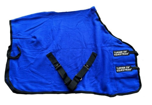 Royal blue shetland pony - blue,